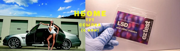 гашик Нягань