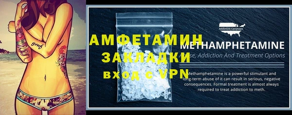 прущие грибы Гвардейск