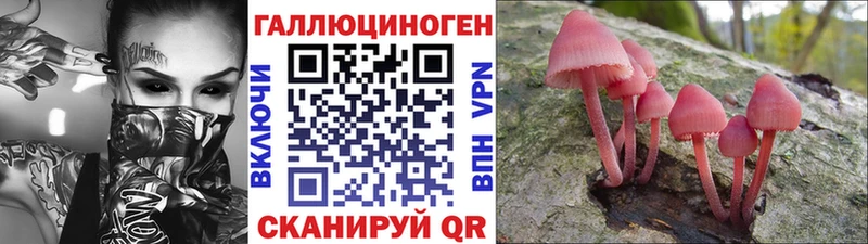 где найти наркотики  Солигалич  Псилоцибиновые грибы GOLDEN TEACHER 